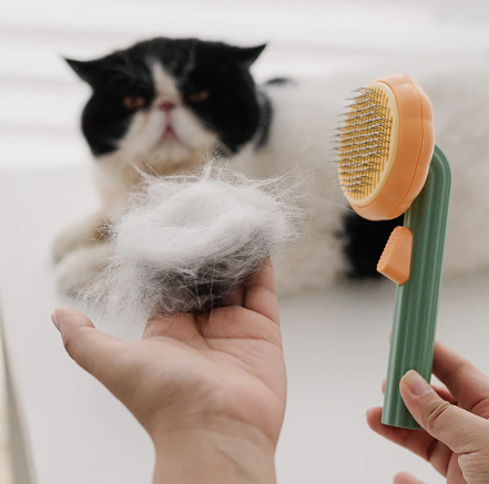 Cepillo de Mascotas - Pet Brush